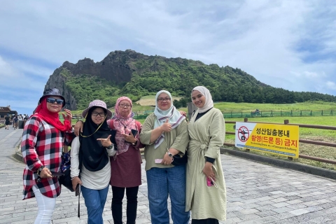 Excursion d'une journée sur les routes orientale et septentrionale de JejuPoint de rencontre : Shilla Duty Free