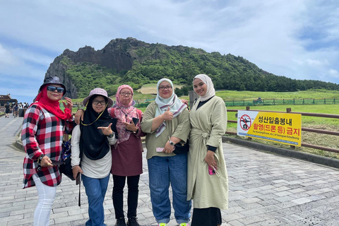 Excursion d'une journée sur les routes orientale et septentrionale de JejuPoint de rencontre : Shilla Duty Free