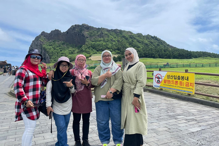 Excursion d'une journée sur les routes orientale et septentrionale de JejuPoint de rencontre : Shilla Duty Free