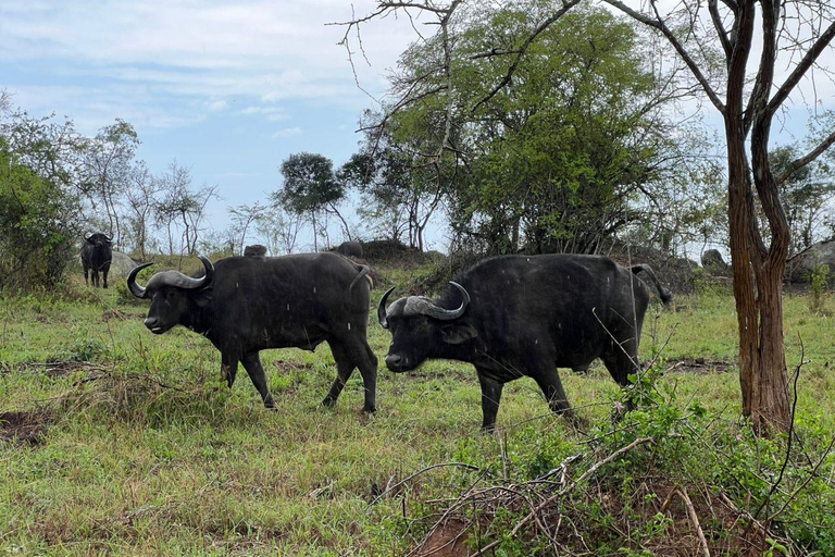 2 Day Lake Mburo Safari: Wildlife, Cycling, & Boat Ride