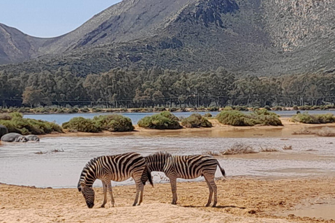 Safari al atardecer en la Reserva de Caza de Aquila con transporte privado