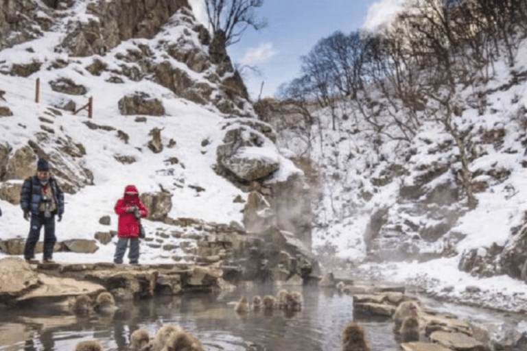 Z Tokio: Park Śnieżnych Małp i prywatna wycieczka do świątyni Zenko-ji