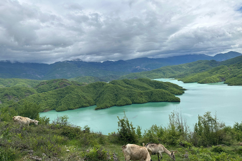 Tirana: Bovilla Lake and Gamti Mountain Hiking Tour