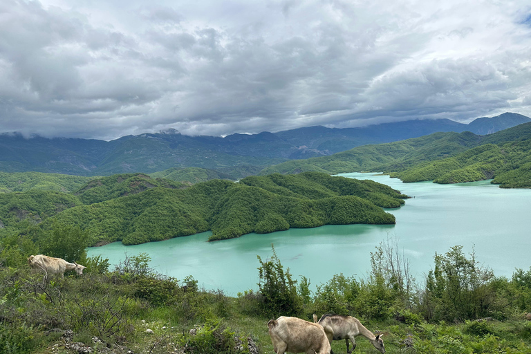 Tirana: Wandeltocht langs het Bovilla meer en de Gamti berg