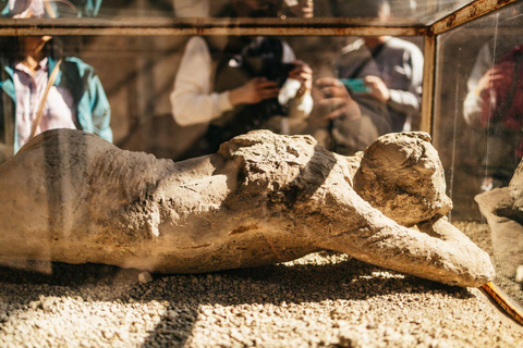 Pompeii: Wheelchair-accessible Private Tour with a Guide Private Van Transfer from Naples, Guide and Tickets