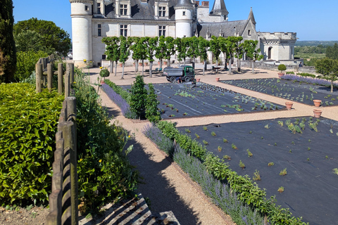 جولة إرشادية في قلعة أمبواز الملكيةجولة إرشادية في قلعة أمبواز الملكية باللغة الإنجليزية
