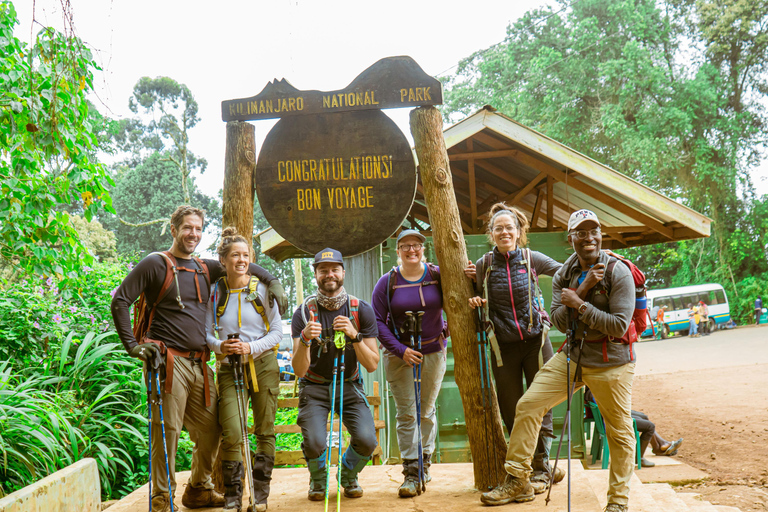 Mount Kilimanjaro: 7 Days Hike Lemosho Route Private Kilimanjaro Climbing 7 Days Lemosho Route