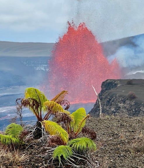 Hilo : visite le matin du volcan et des cascades