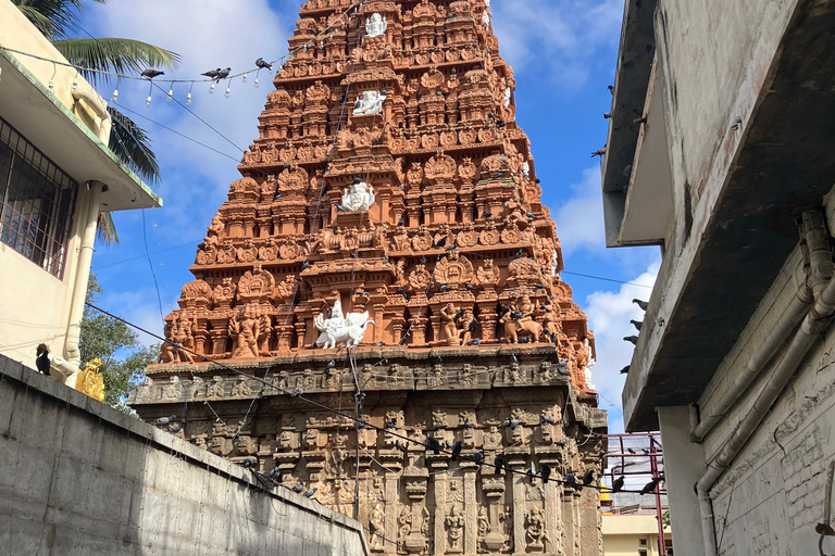 Bengaluru: 3 Hour New and Old City Guided Walking Tour