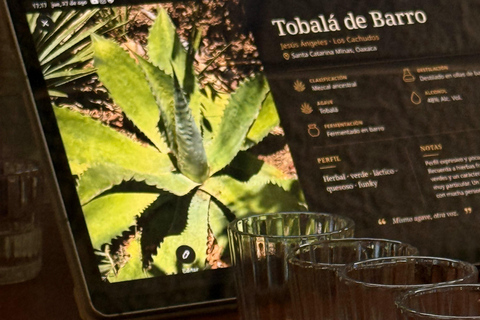 Downtown Oaxaca: Tasting of 10 mezcals and palenques