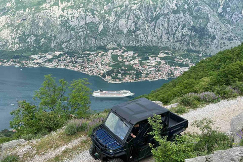 Kotor: Safari selvaggio e avventura panoramica con buggy