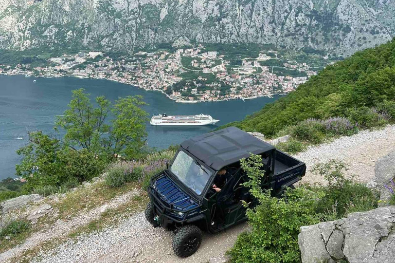 Kotor: Wild Safari &amp; Panorama Avontuur met Buggy