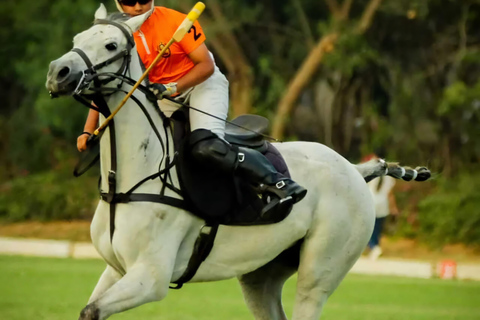 Avventura a cavallo a Jaipur