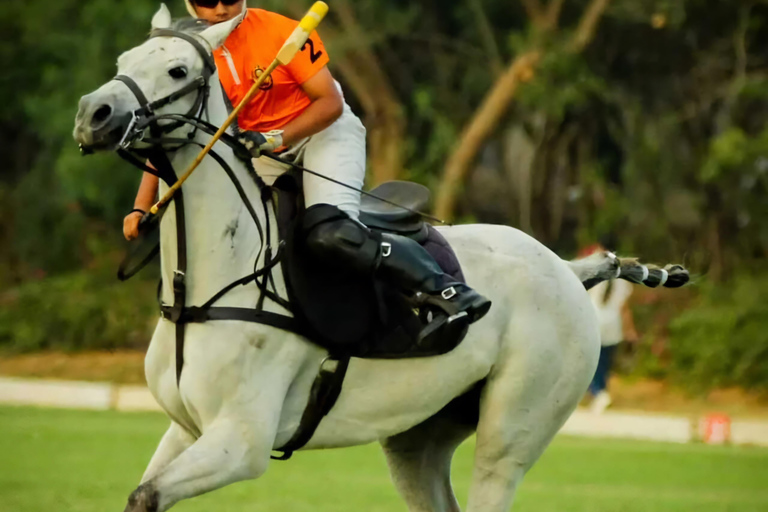 Avventura a cavallo a Jaipur