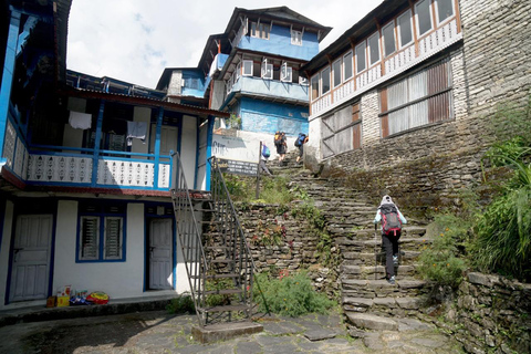 Ghorepani Poon Hill Ghandruk Trek With Guide ghorepani Poon Hill Ghandruk Hike