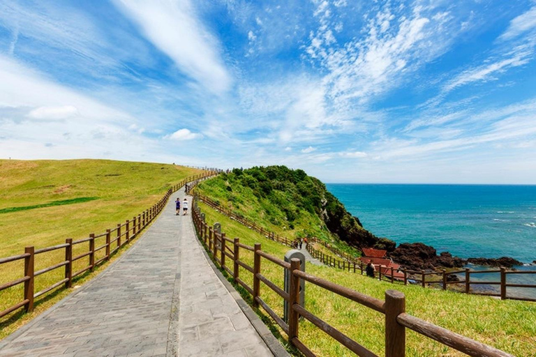 Jeju: Customized Private Car Charter for Your Own Tour