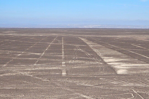 From Nazca: Nazca and Palpa Lines Flight with Transfer Included From Nazca: Flight Over the Nazca Lines and Palpa with Transfer Included