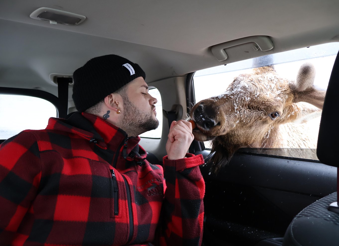 Fra Montreal: Omega Park Wildlife Safari Calling Sounds