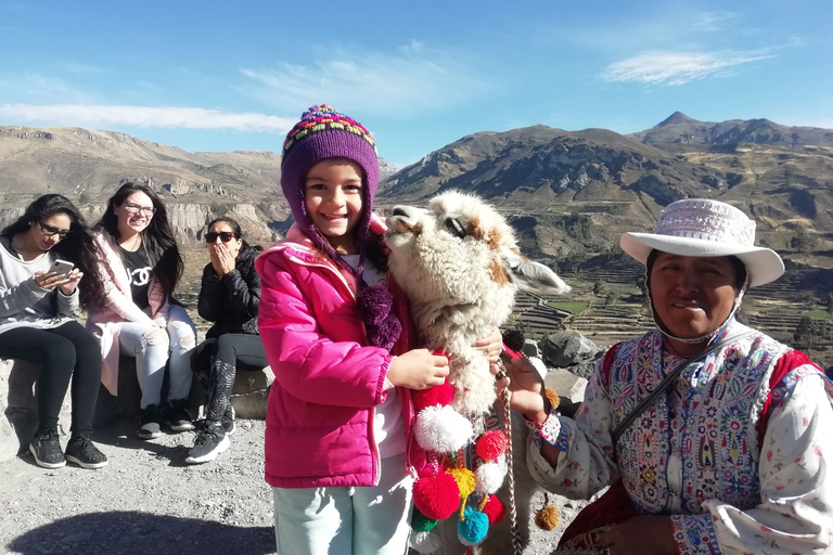 From Arequipa: Tour Fantastic to Colca Canyon |2Days/1Night|