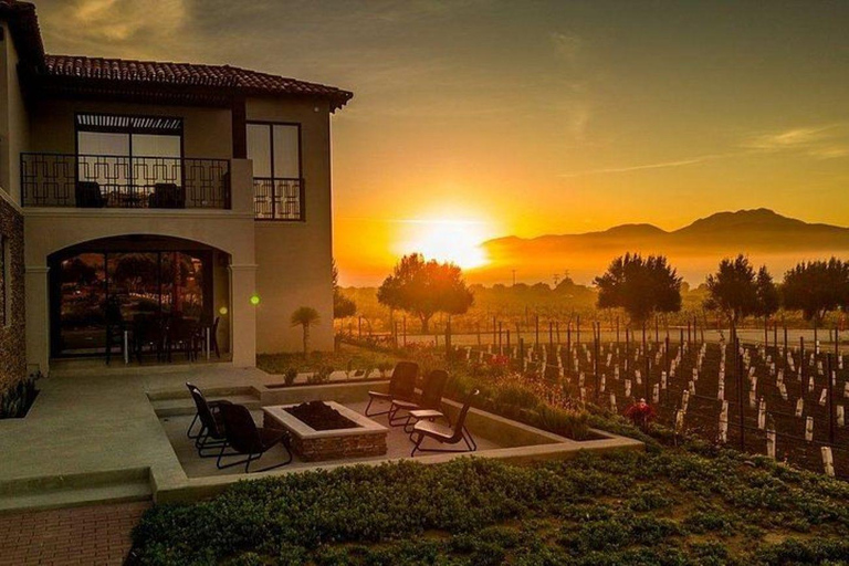 Valle de Guadalupe : Dégustation de vin et visite en calèche