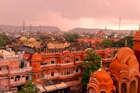 Excursion d'une journée à Jaipur depuis Delhi par voie rapideVoiture privée avec chauffeur et visite guidée uniquement