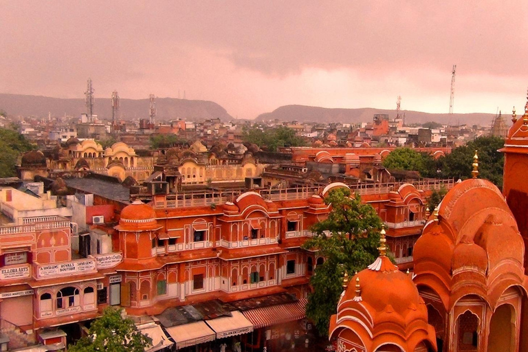 Excursion d'une journée à Jaipur depuis Delhi par voie rapideVoiture privée avec chauffeur et visite guidée uniquement