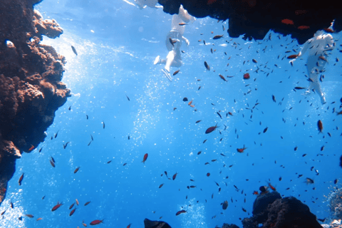 Sharm El Sheikh: Canyon, Blue Hole & Dahab Day Tour Blue Hole Explorer & Snorkeling Adventure