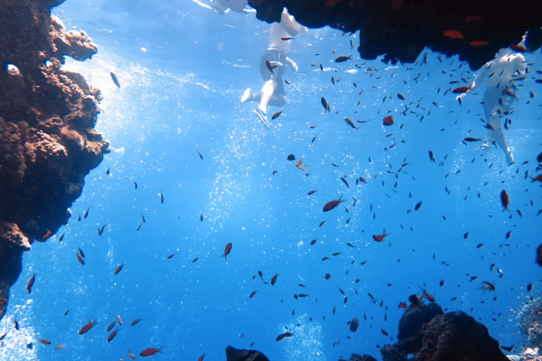 Sharm El Sheikh: Canyon, Blue Hole & Dahab Day Tour Blue Hole Explorer & Snorkeling Adventure