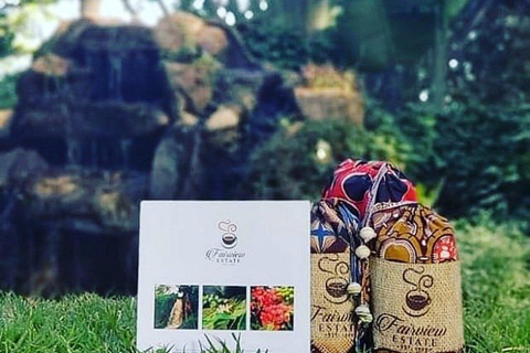 Nairobi:Fairview Coffee Farm Tour &Coffee Tasting Experience
