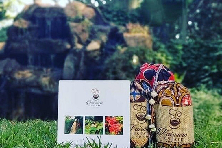 Nairobi:Fairview Coffee Farm Tour &Coffee Tasting Experience