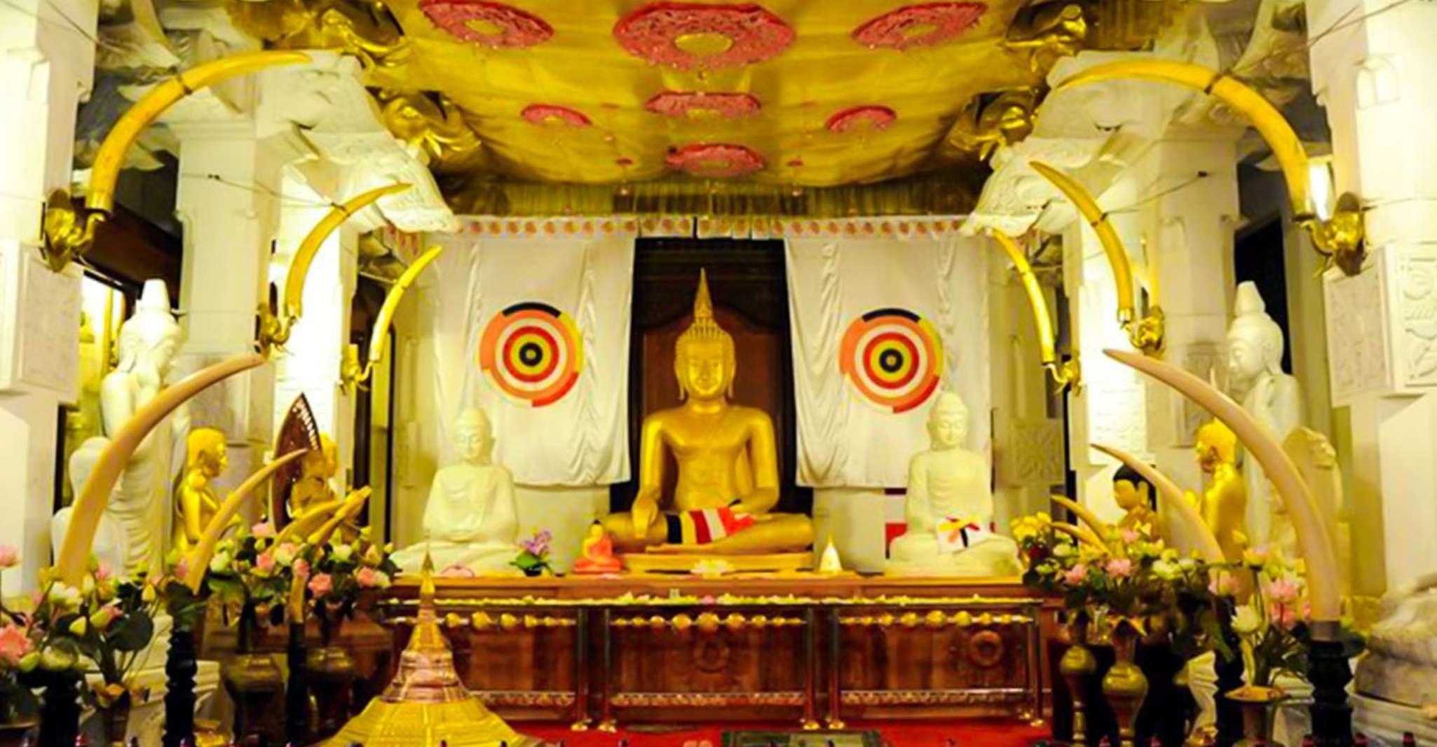 Kandy Majestät, ganztägiges Fest & Entdecken mit Mittagessen - Hizvo