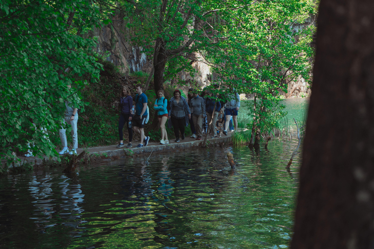 Zadar : Visite guidée des lacs de Plitvice avec billets