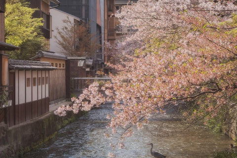Tokyo: Mt. Fuji & Gotemba Premium Outlets Private Day Tour