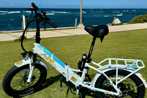 1 hour electric bike rental