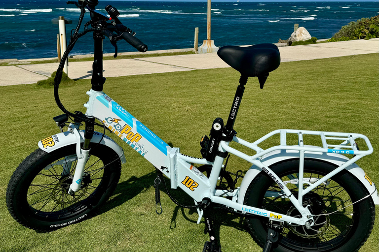 1 hour electric bike rental