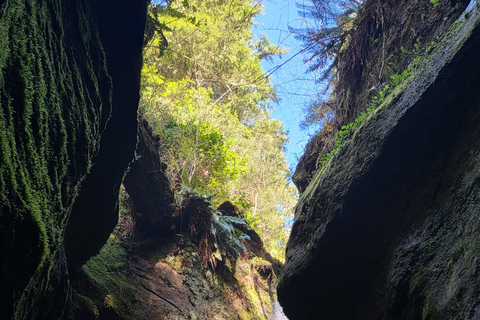 Vancouver Island: Jurtenaufenthalt, Wasserfall, Strände und Skywalk