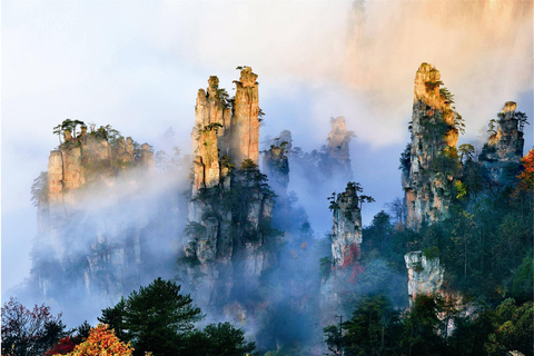 Zhangjiajie National Forest Park 4-Day Adult Ticket