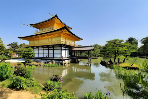 Tokyo: 8-Day Tour with Fuji, Kyoto, Nara, Hiroshima & Osaka Day 8 - Osaka Highlights (Spanish)