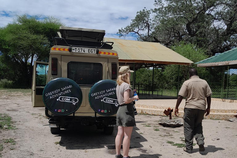 3-Day Serengeti Skies & Ngorongoro Wonders