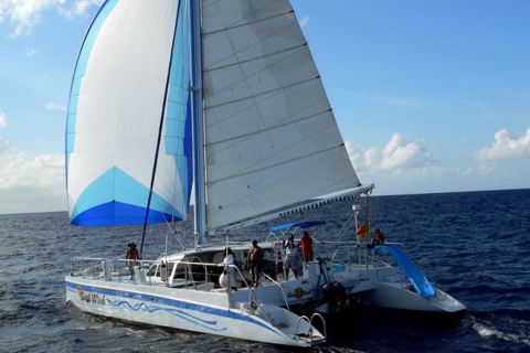 De Fajardo: excursion d'une journée en catamaran sur l'île d'IcacosCatamaran à l'île d'Icacos sans transport
