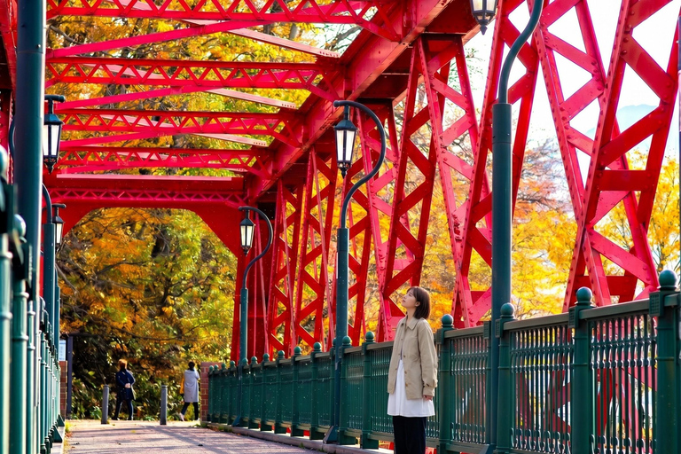 From Sapporo: Hoheikyo Dam, Jozankei & Lake Shikotsu Tour Shared Tour, Meet at Sapporo Station