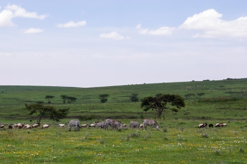 8-Day Group budget Safari Through Kenya and Tanzania