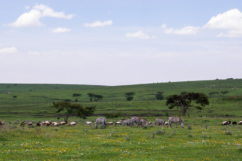 8-Day Group budget Safari Through Kenya and Tanzania