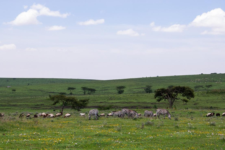 8-Day Group budget Safari Through Kenya and Tanzania