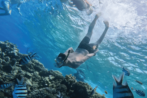 Premium Cruise To Giftun Island with Lunch & Transfer Hurghada: Orange Island Cruise with Lunch & Transfer