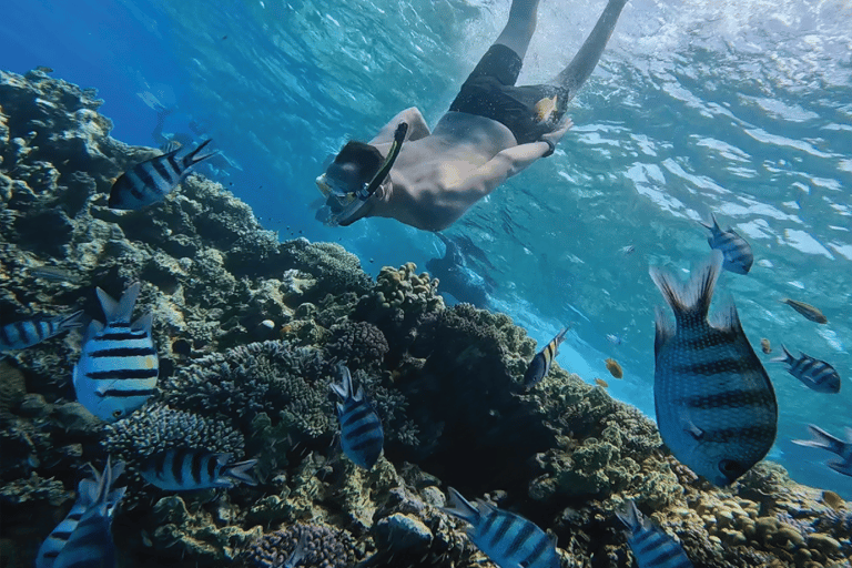 Premium Cruise To Giftun Island with Lunch & Transfer Hurghada: Orange Island Cruise with Lunch & Transfer