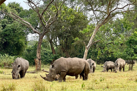 Ziwa Rhino Sanctuary Guided Walking Tour