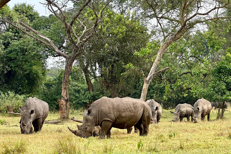 Ziwa Rhino Sanctuary Guided Walking Tour