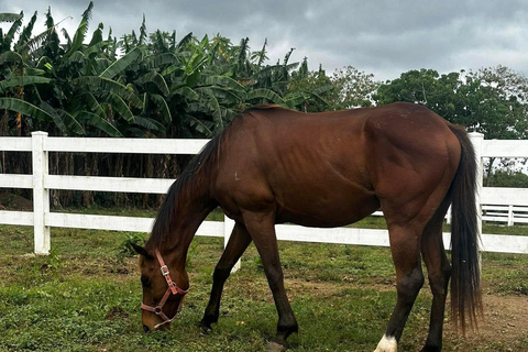 Batangas: Countryside Private Horseback Ride with Cafe Stop