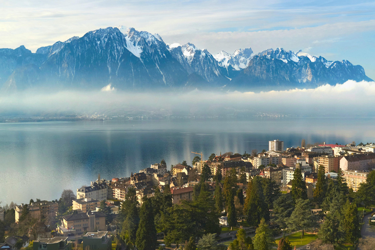 Zurich: Chaplin's World & Lake Geneva Private Day Trip